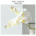 3D Phalaenopsis Faux Floral Arrangement - Modomu