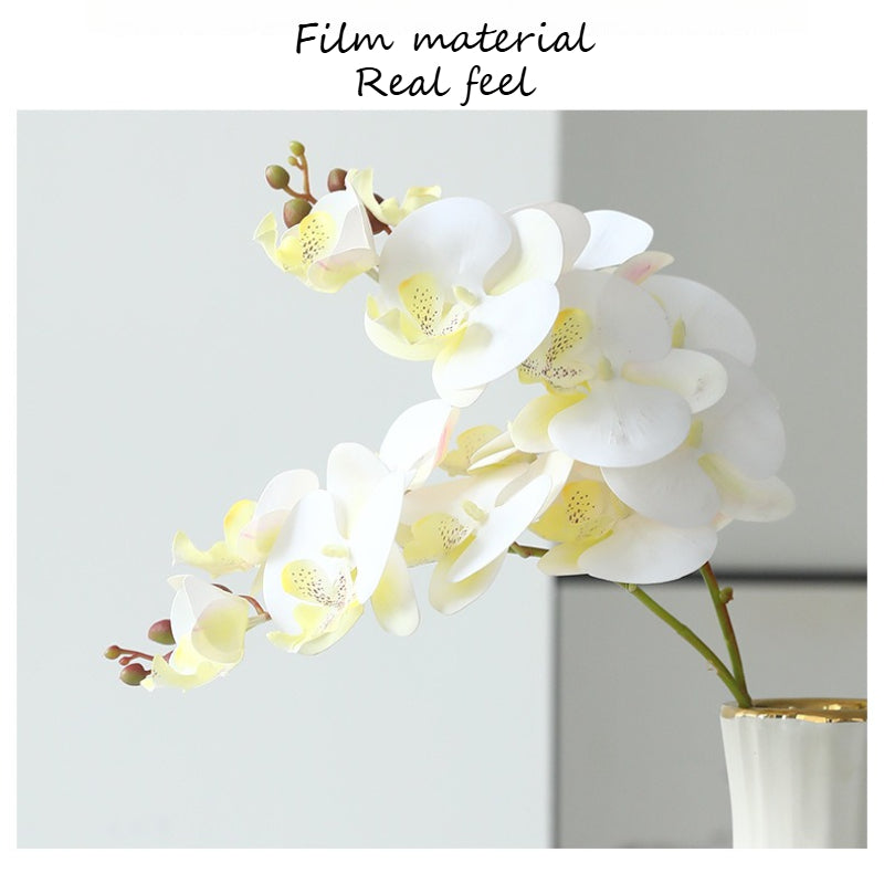 3D Phalaenopsis Faux Floral Arrangement - Modomu