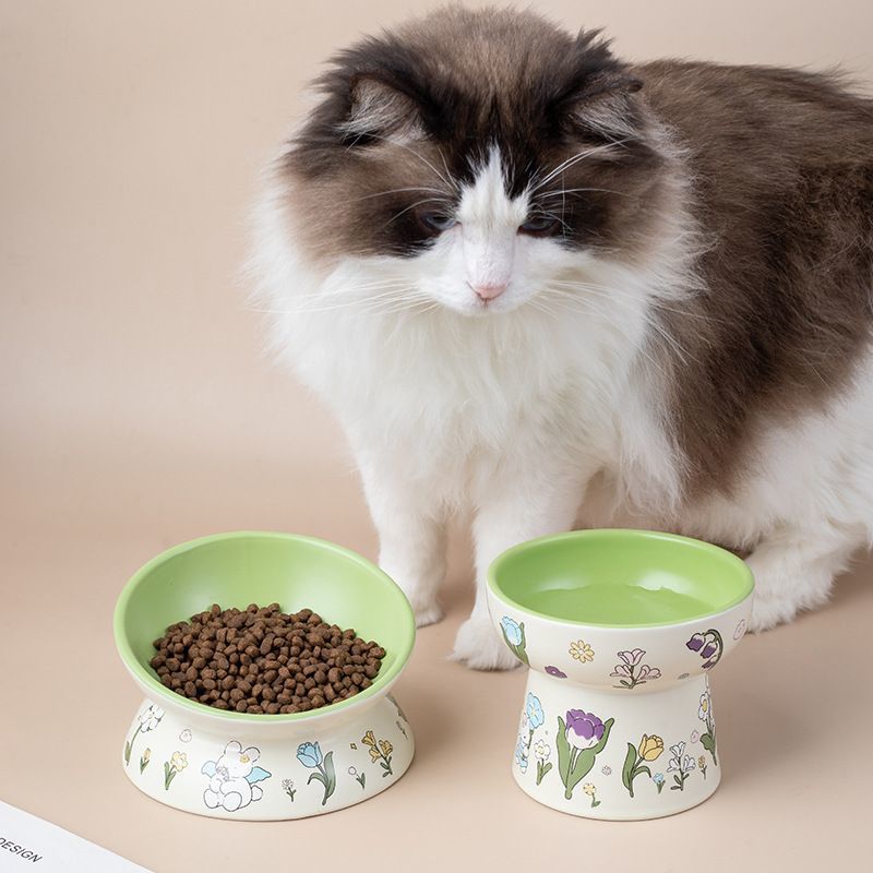 Raised Pet Food and Water Bowl