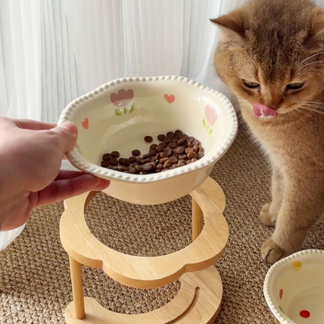 Ceramic Cat Bowl Elevated Stand
