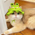 Knit Pet Hat Frog Design