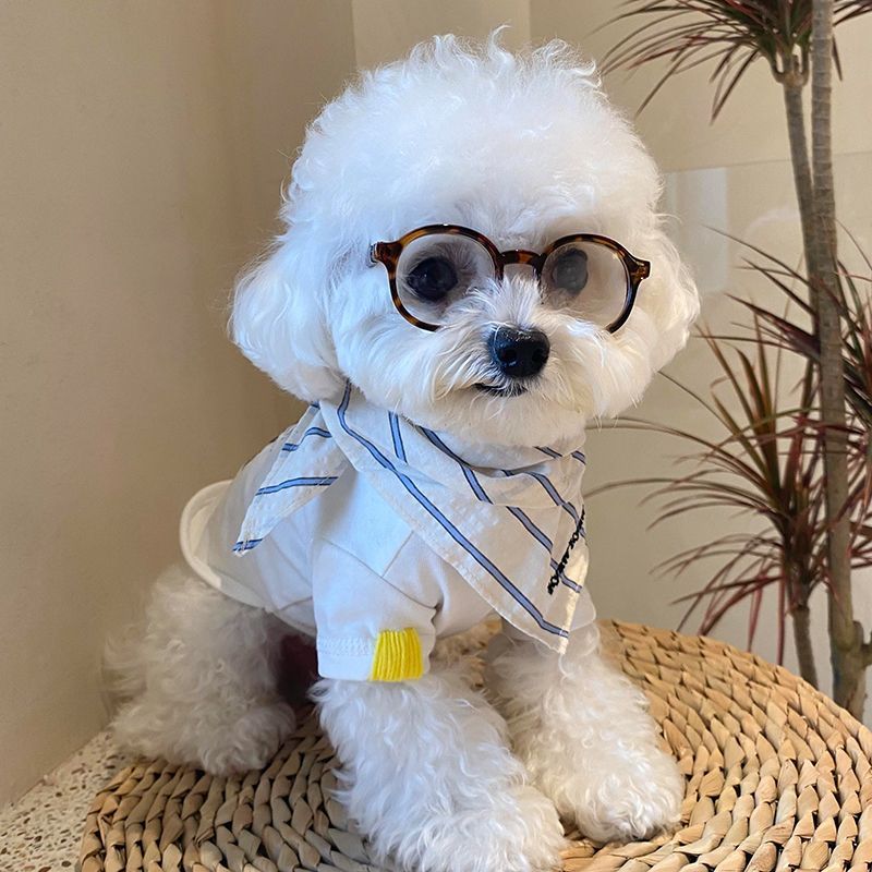 Pet Glasses Fun Photo Accessory