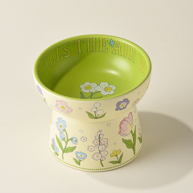 Ceramic Pet Bowl with Rim