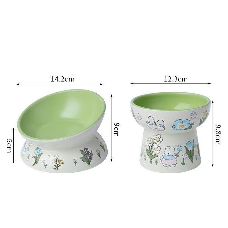 Raised Pet Food and Water Bowl