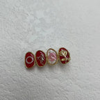 Oval Dried Flower Hair Clip - Modomu