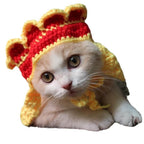 Knit Pet Hat Frog Design