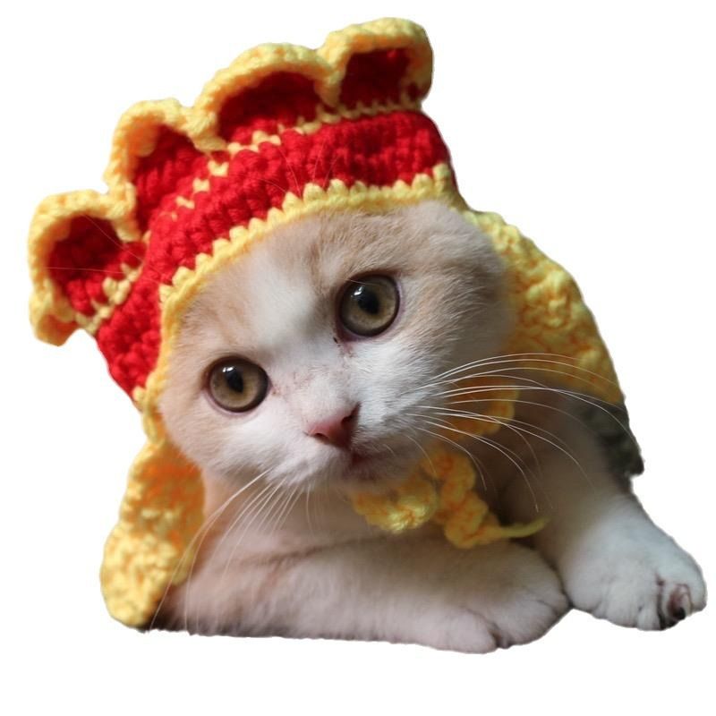 Knit Pet Hat Frog Design