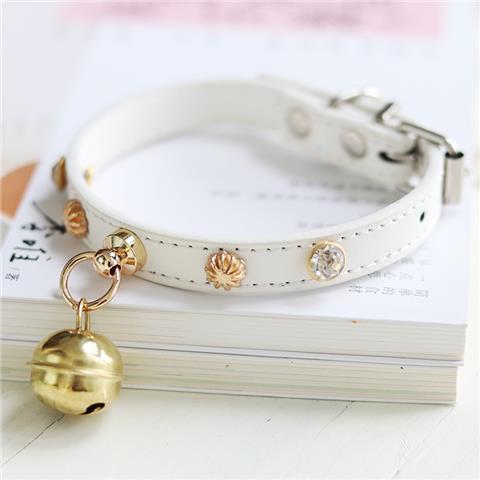 Minimalist Lifestyle Accessory Piece