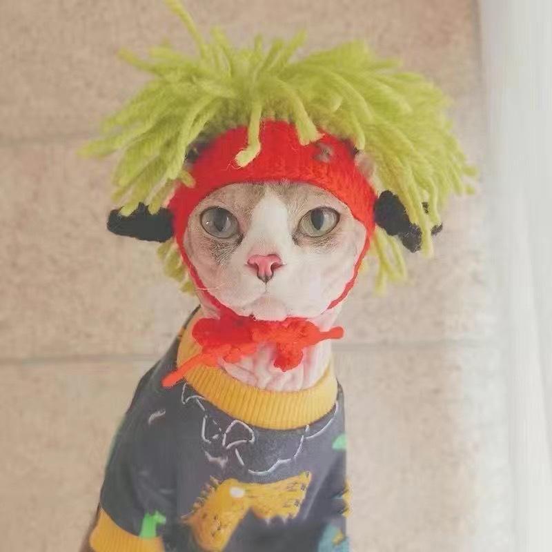 Knit Pet Hat Frog Design