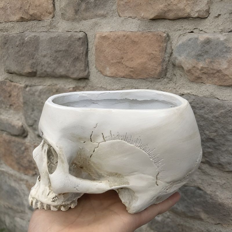Open Skull Planter