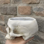Open Skull Planter