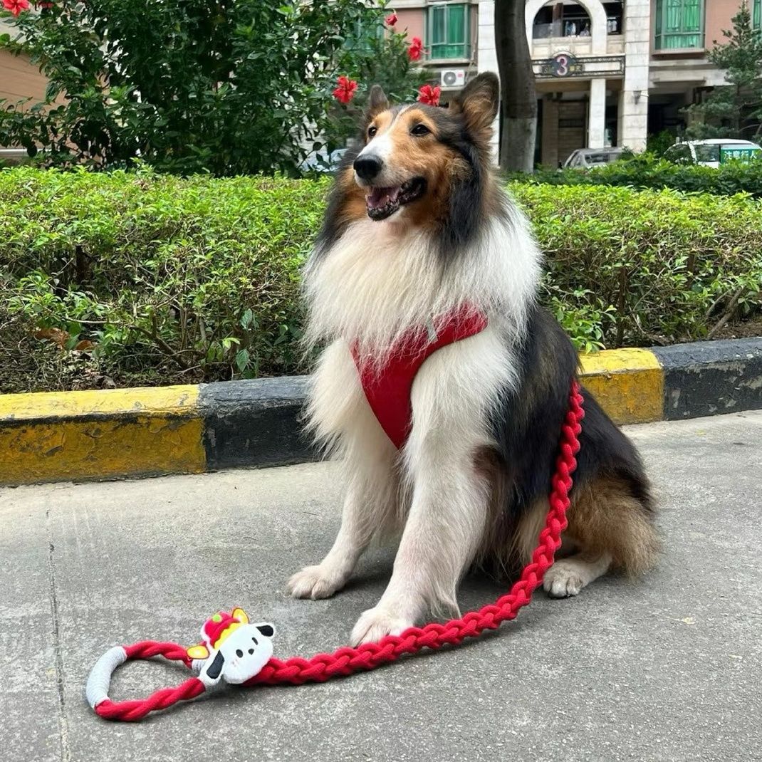 Braided Charm Dog Leash
