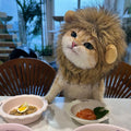 Lion Mane Pet Hat