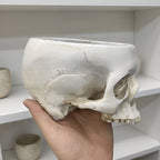 Open Skull Planter
