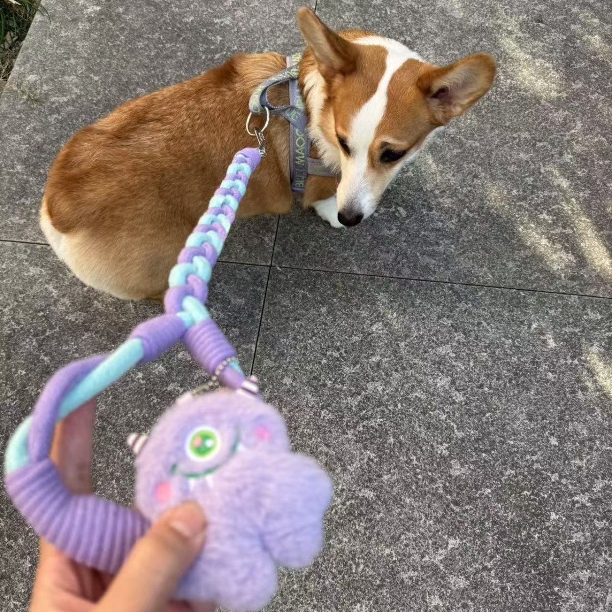 Braided Charm Dog Leash