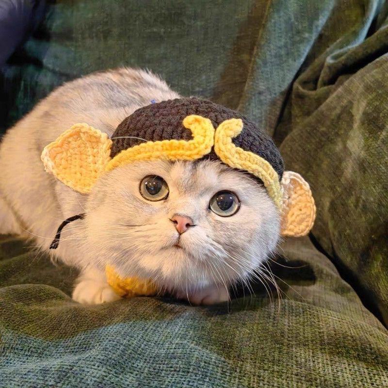 Knit Pet Hat Frog Design