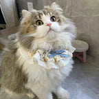 Pet Bib with Floral Bow