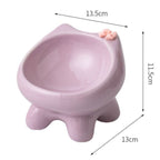 Ceramic Cat Elevated Pet Bowl