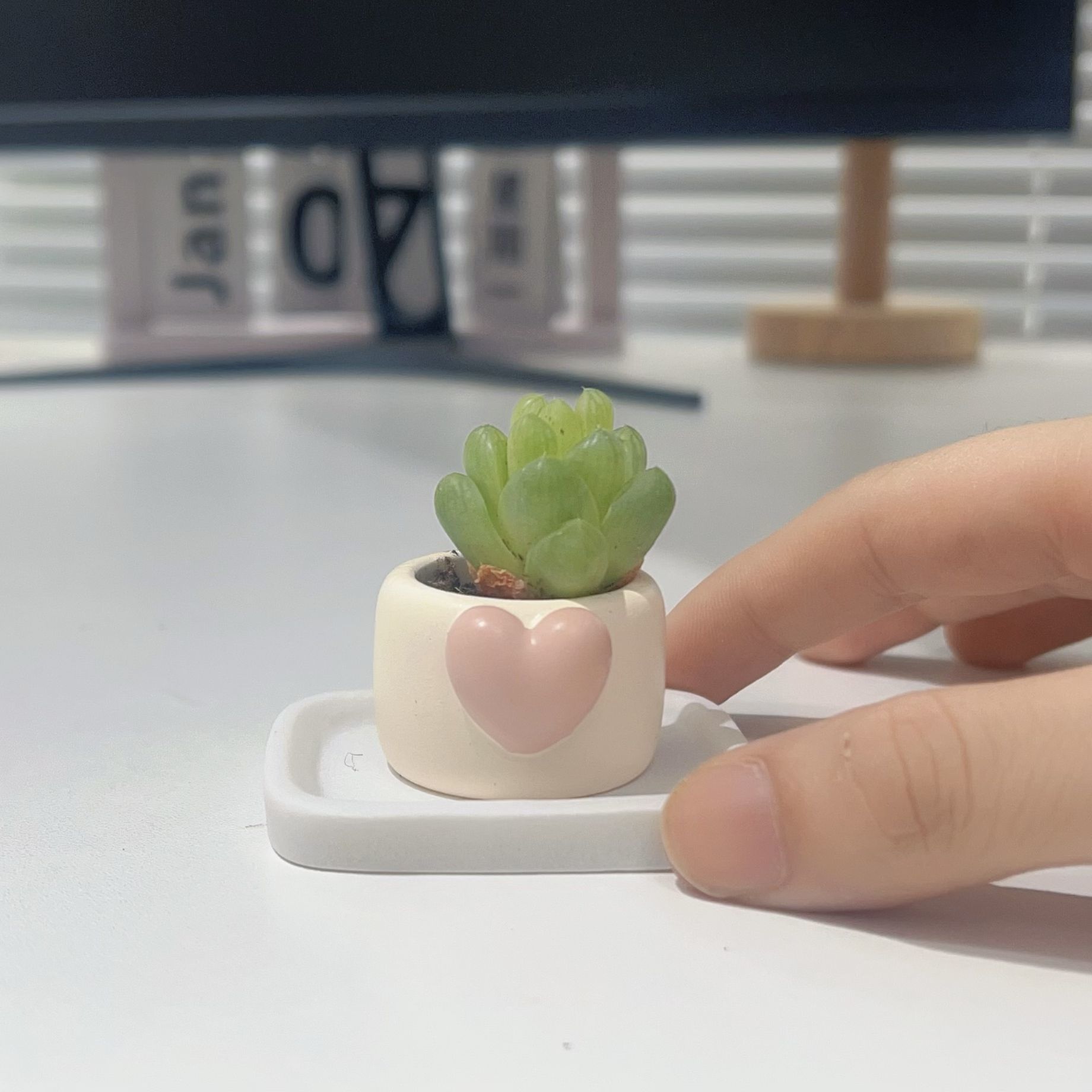Mini Succulent Thumb Planter