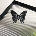 Layered Butterfly Ring