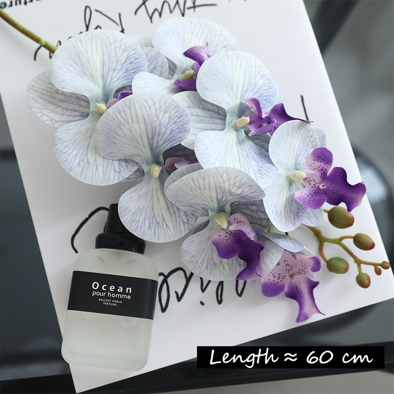 3D Phalaenopsis Faux Floral Arrangement - Modomu