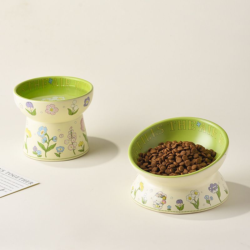 Ceramic Pet Bowl with Rim