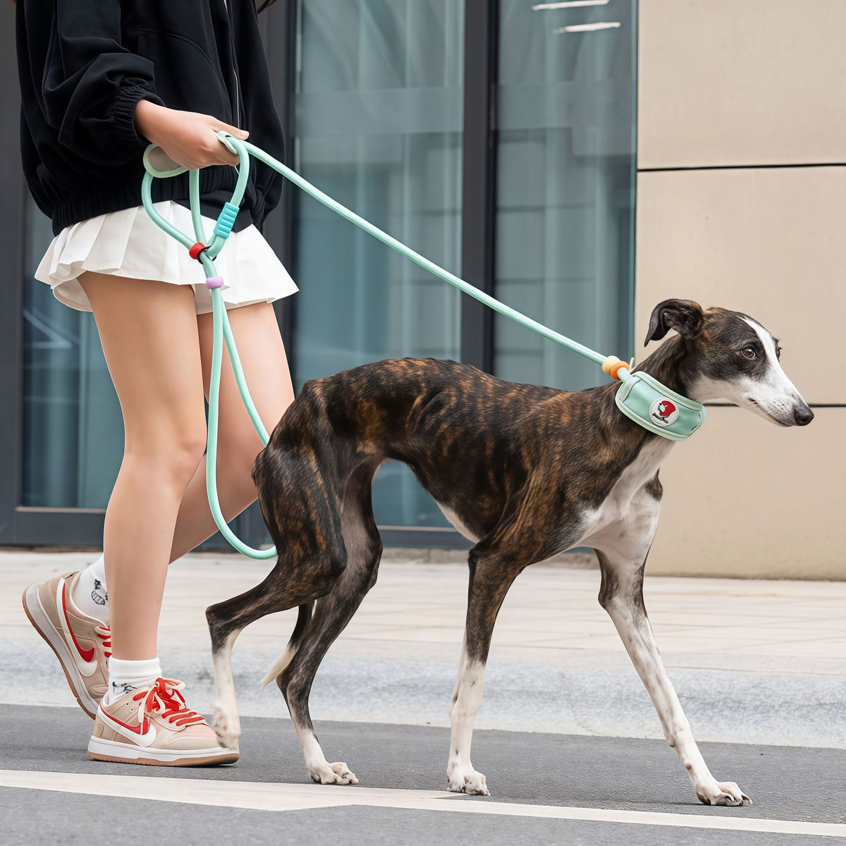 Padded Slip Lead Leash