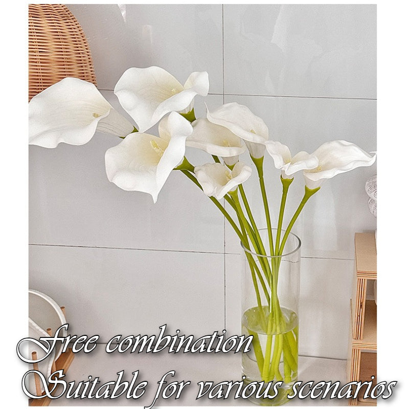 Long Stem Calla Lily Spray - Modomu