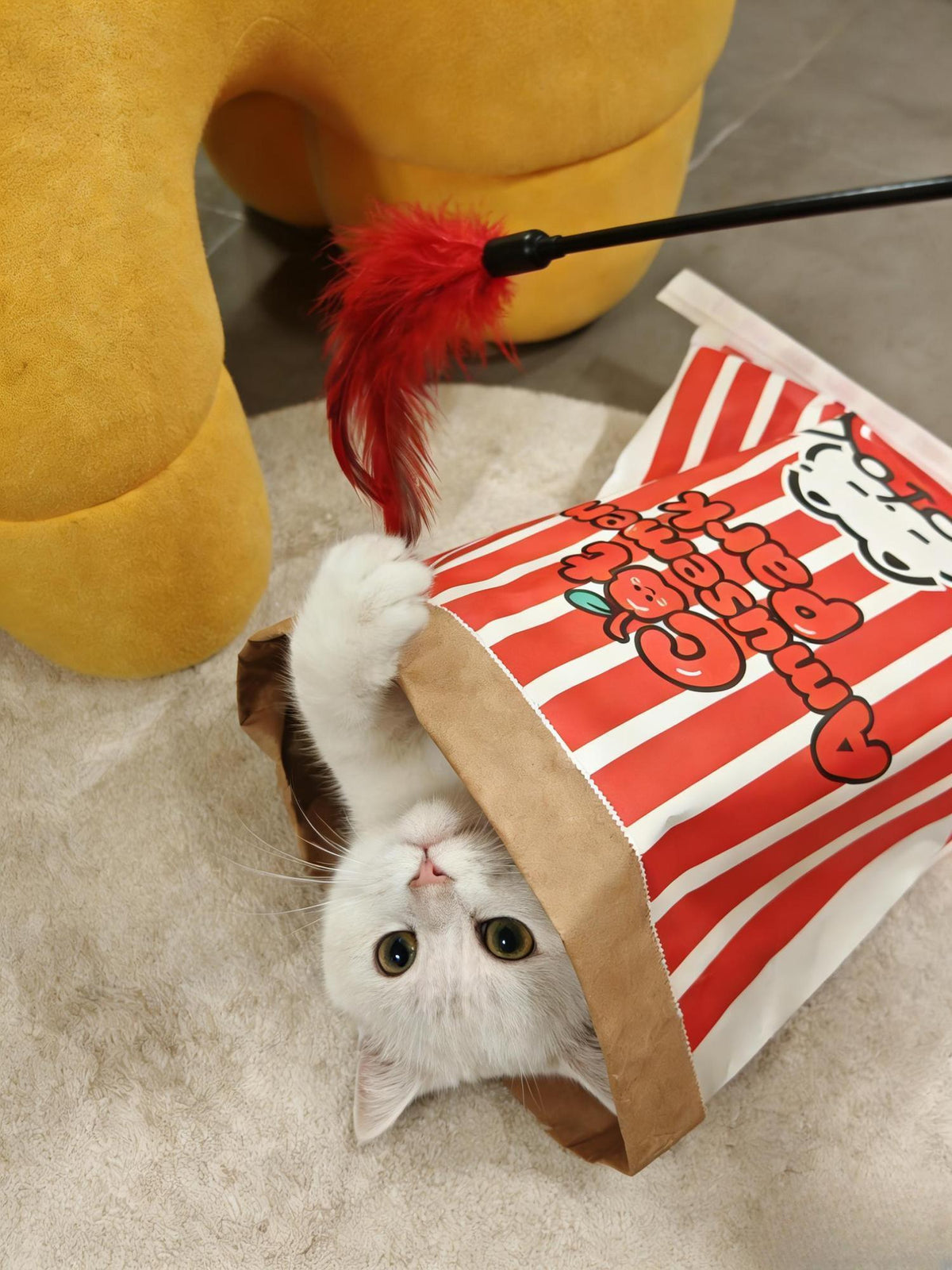 Crinkle Cat Hideout Sack