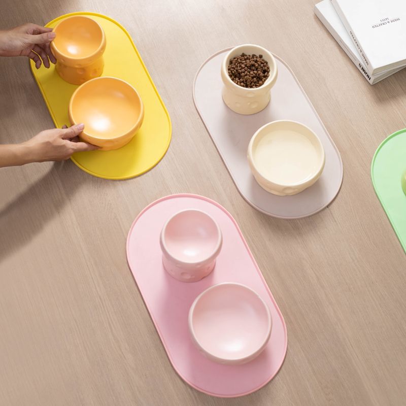 Ceramic Pet Elevated Feeding Bowl