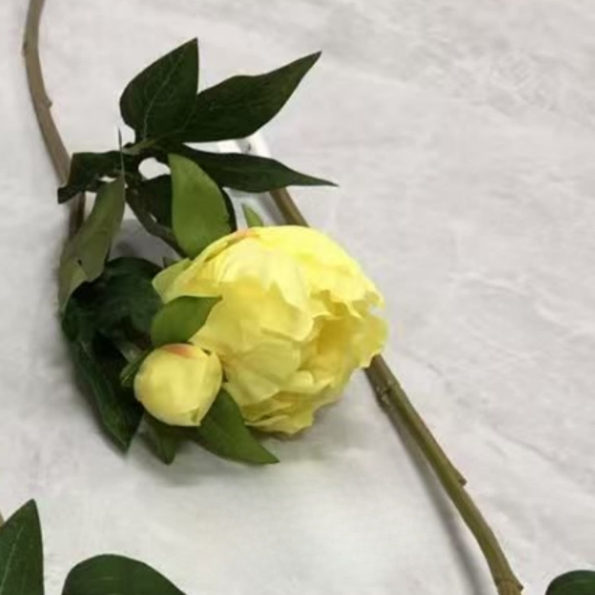 Single Stem Peony Artificial - Modomu