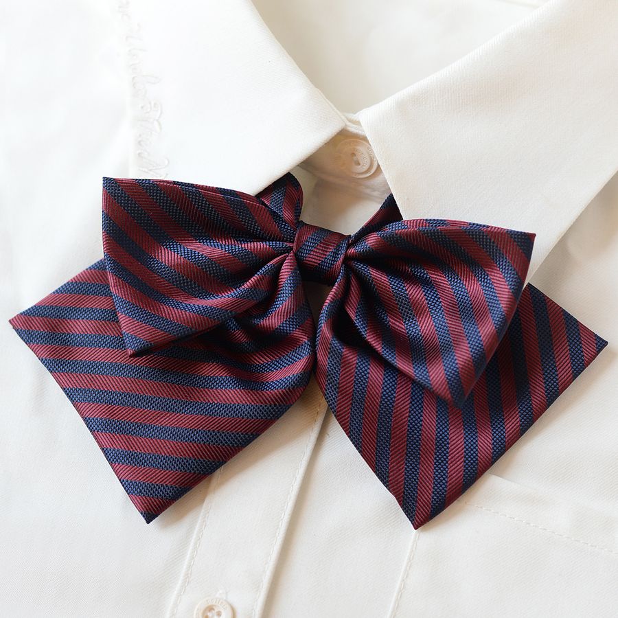 College Style Bow Tie - Modomu