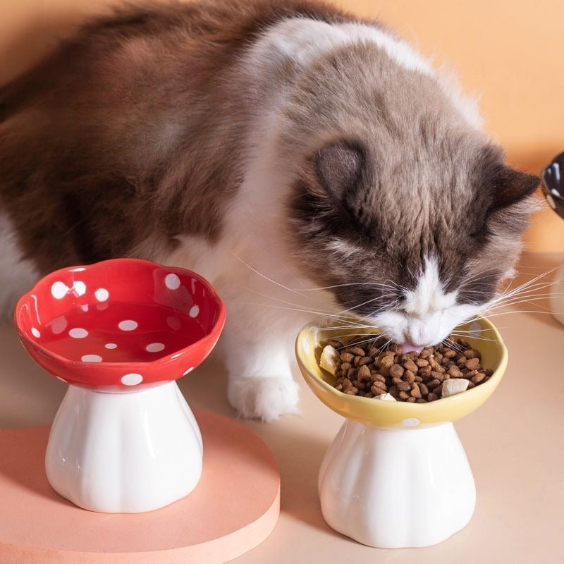 Elevated Ceramic Pet Feeding Bowl
