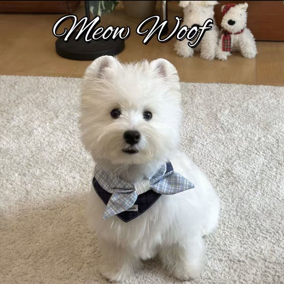 Pet Bandana Bib with Bow