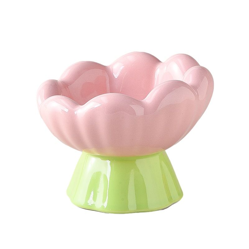 Ceramic Elevated Pet Food Bowl