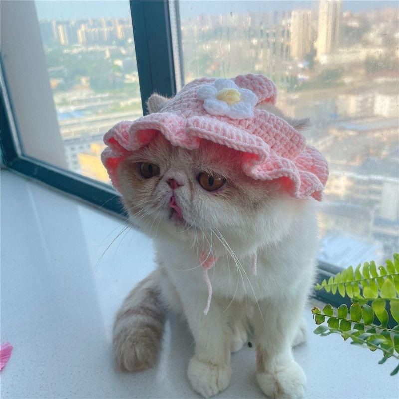 Knit Pet Hat Frog Design