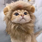Lion Mane Pet Hat