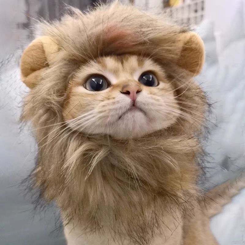 Lion Mane Pet Hat