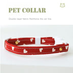 Safety Pet ID Collar