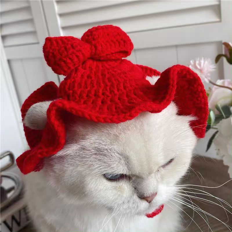 Knit Pet Hat Frog Design