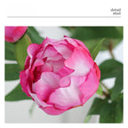 Single Stem Peony Artificial