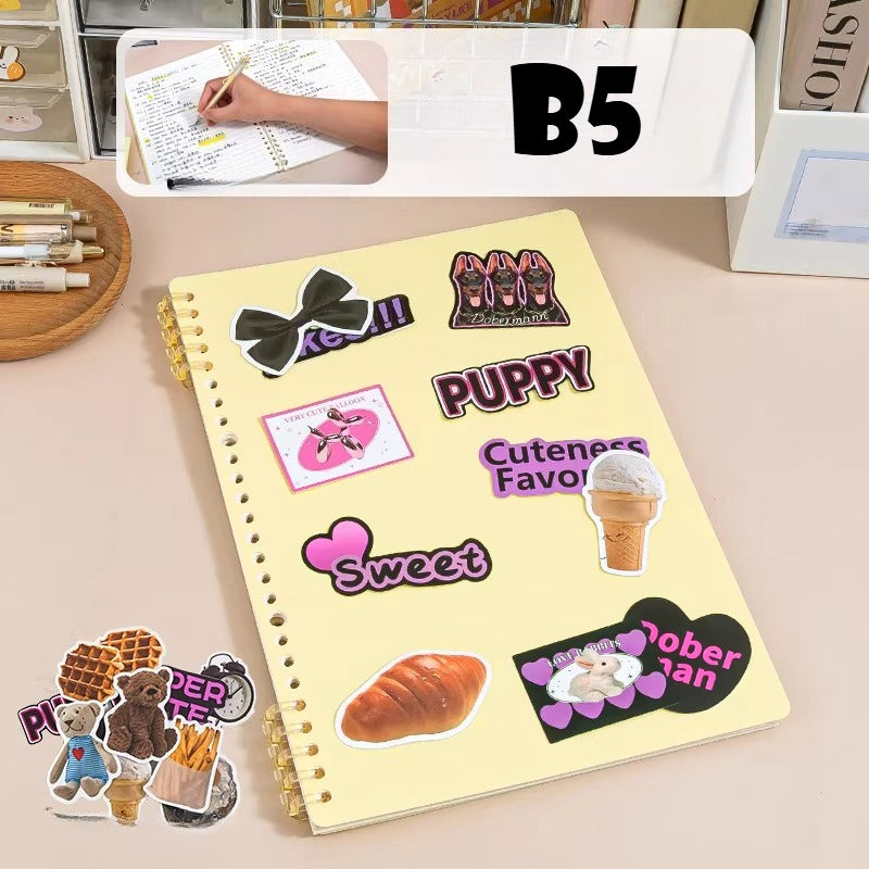 B5 Loose Leaf Study Notebook - Modomu