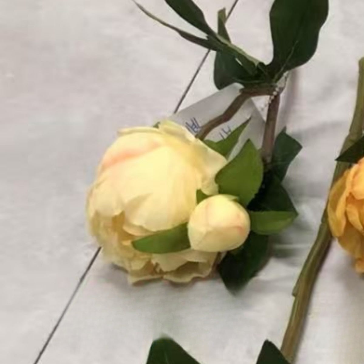 Single Stem Peony Artificial - Modomu