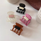 Glossy Claw Clip Set