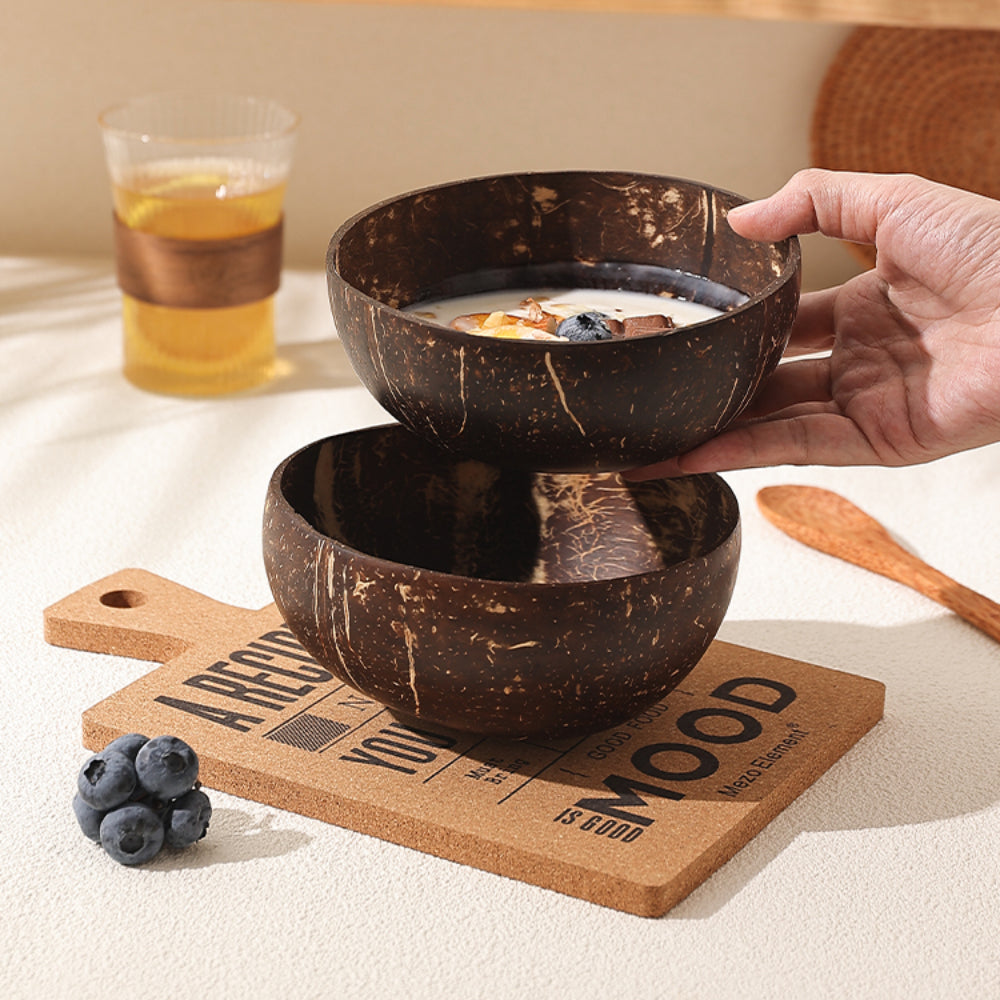 Natural Coconut Shell Bowl