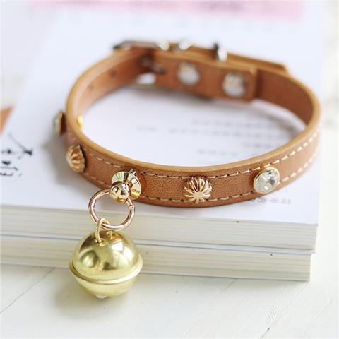 Minimalist Lifestyle Accessory Piece