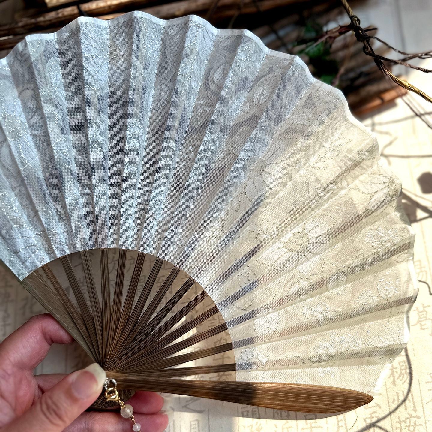 Translucent Folding Hand Fan