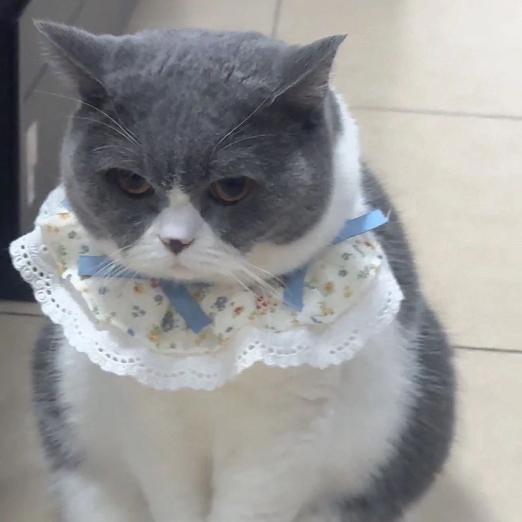 Pet Bib with Floral Bow
