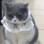 Pet Bib with Floral Bow