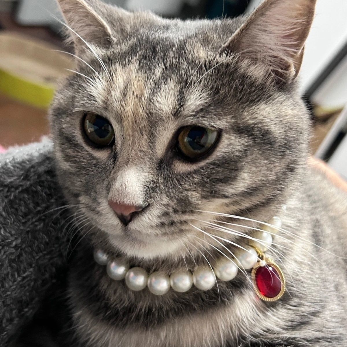 Pet Pearl Gemstone Necklace